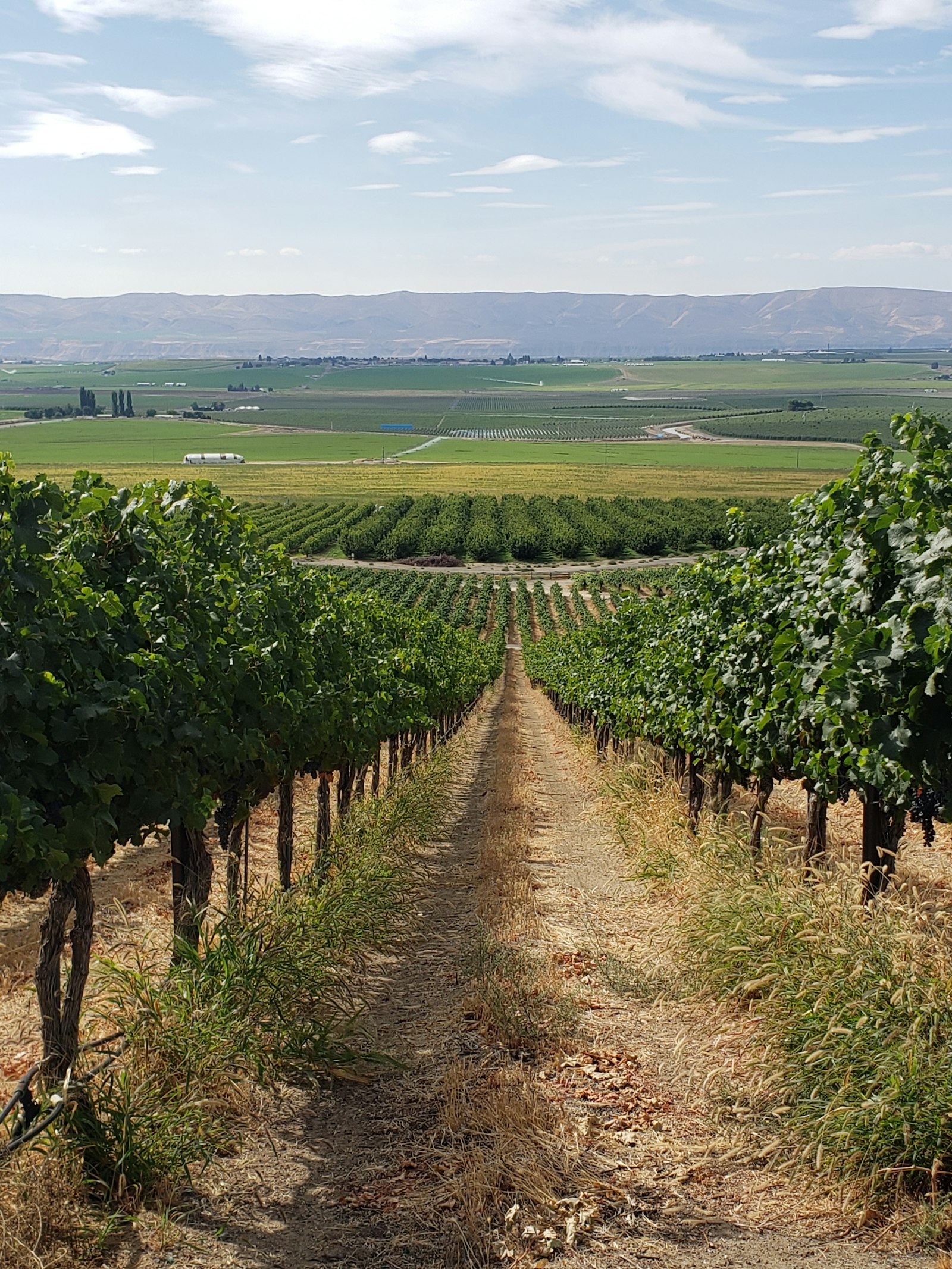South Coast Winery Resort & Spa — Rancho California Wine Trail